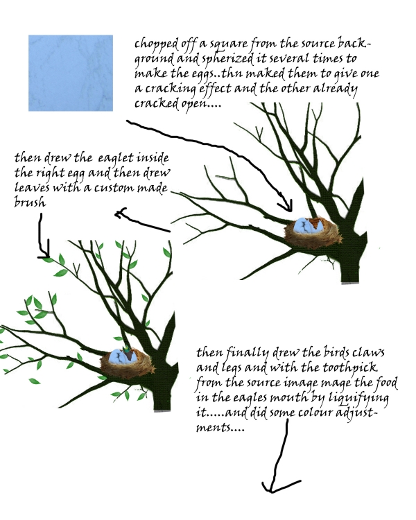Creation of Nature's Birthday: Step 4